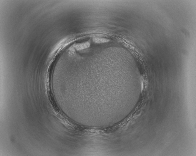 X0000115400339200912011209