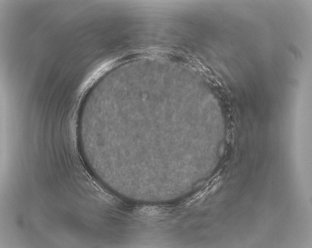 X0000115400341200912011209