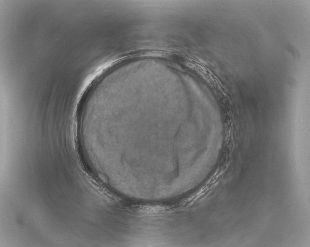 X0000115400342200912011209