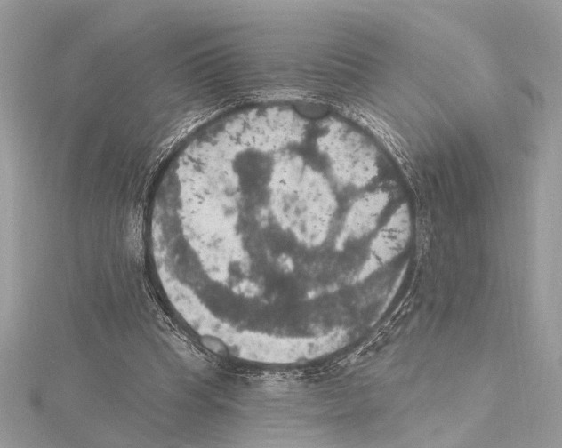 X0000115400345200912011209