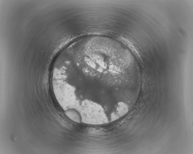 X0000115400346200912011209