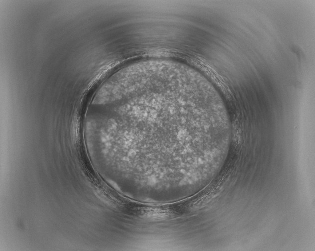 X0000115400347200912011209