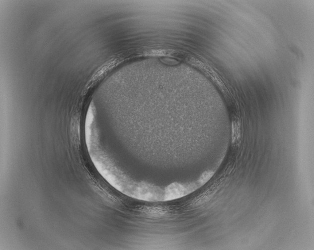 X0000115400349200912011209