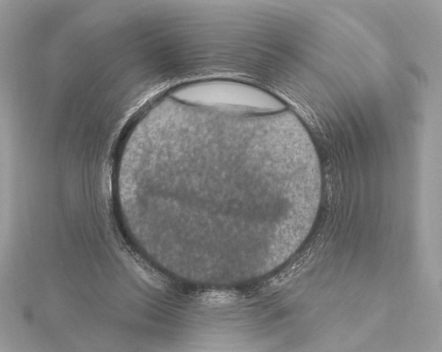 X0000115400350200912011209