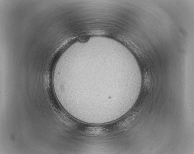 X0000115400351200912011210