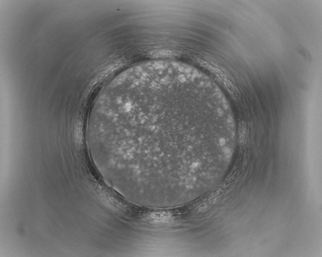 X0000115400353200912011210