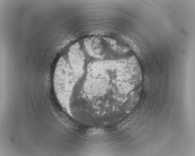 X0000115400354200912011210