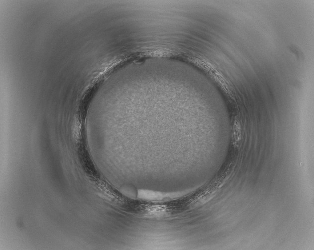 X0000115400355200912011210