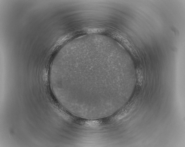 X0000115400357200912011210