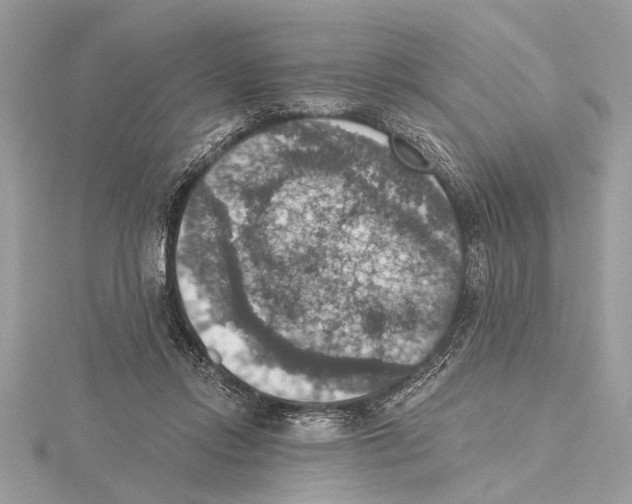 X0000115400358200912011210