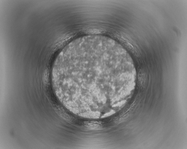 X0000115400359200912011210