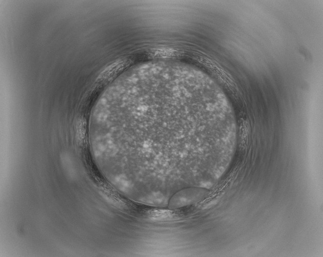 X0000115400361200912011210