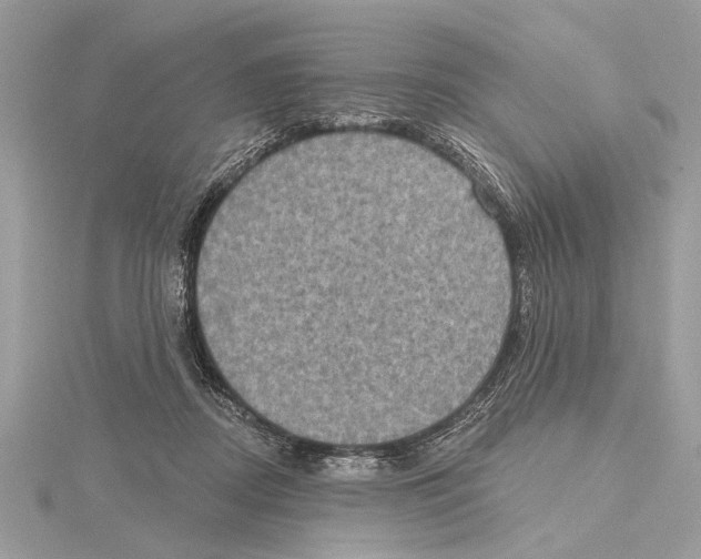 X0000115400362200912011210