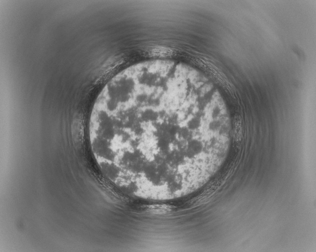 X0000115400363200912011210