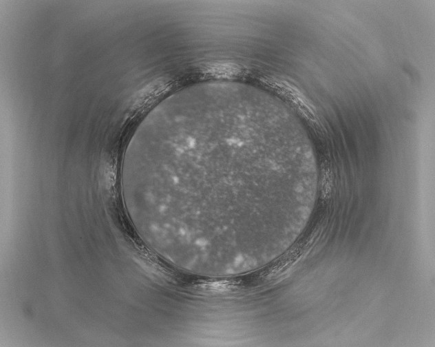 X0000115400365200912011210