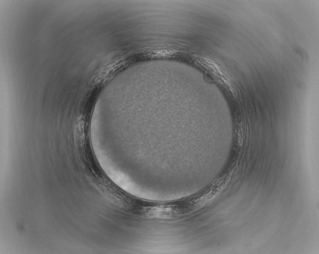 X0000115400366200912011210