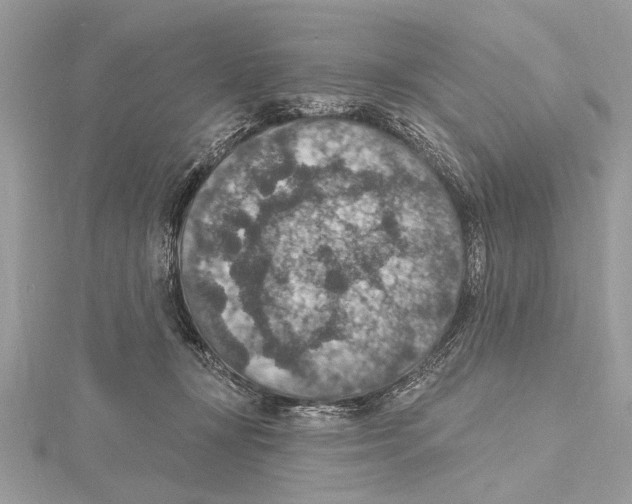 X0000115400367200912011210