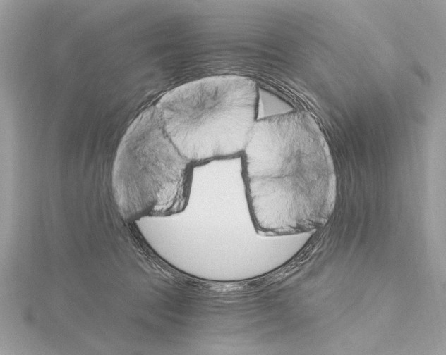 X0000115400369200912011210