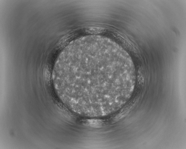 X0000115400371200912011210