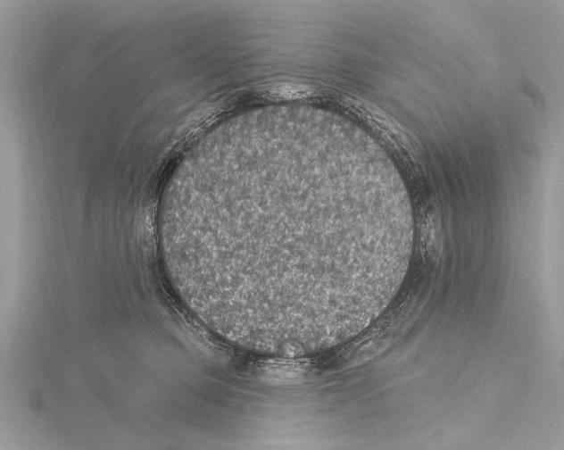 X0000115400373200912011210