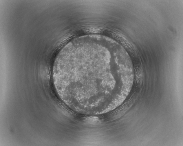 X0000115400374200912011210