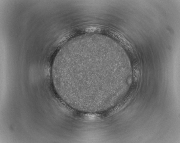 X0000115400375200912011210