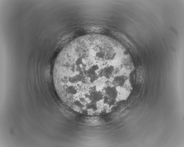 X0000115400377200912011210