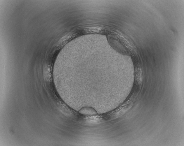 X0000115400378200912011210