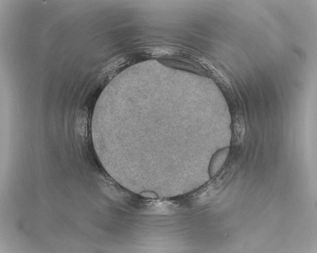 X0000115400379200912011210