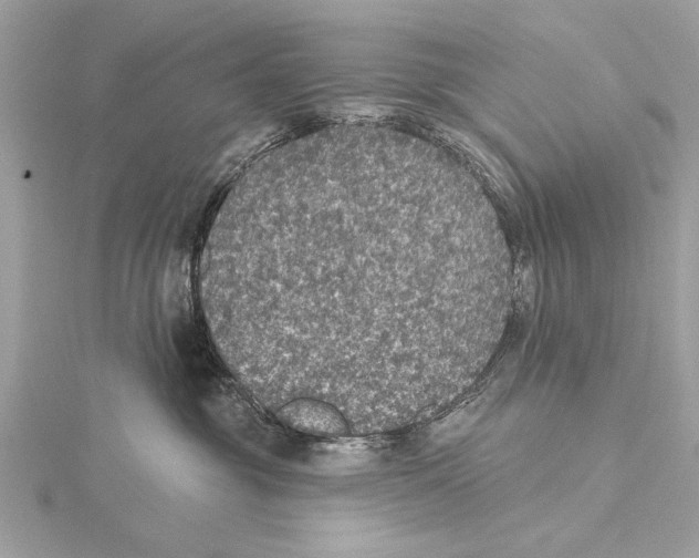 X0000115400381200912011210