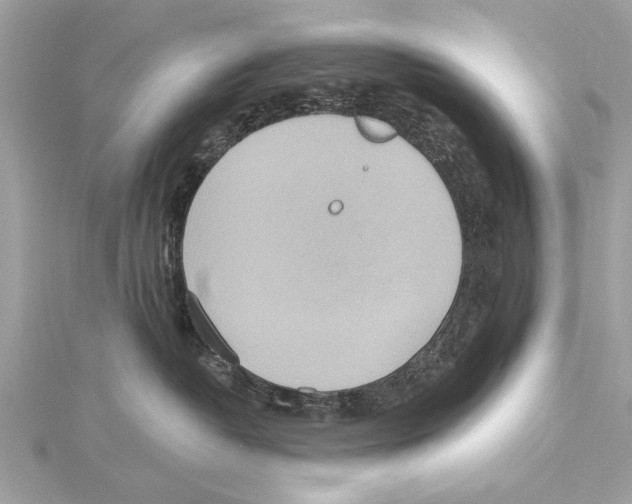 X0000115400382200912011210