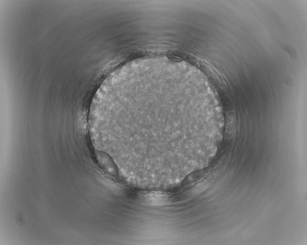 X0000115400383200912011210