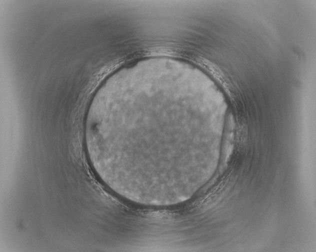 X0000115400385200912011209