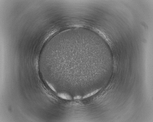 X0000115400386200912011209