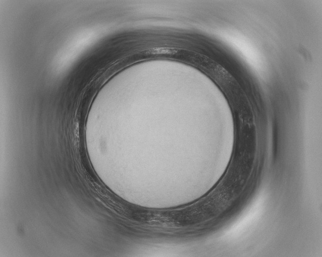 X0000115400387200912011209