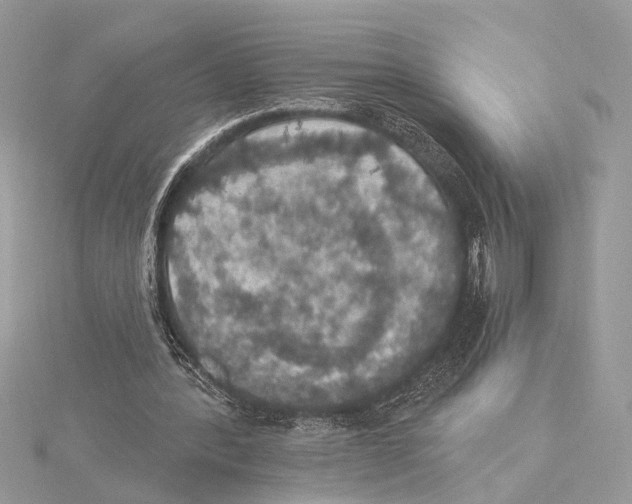 X0000115400388200912011209