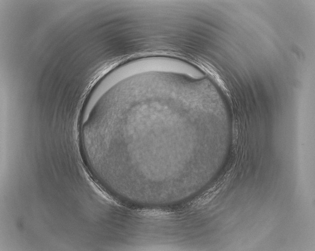 X0000115400389200912011209