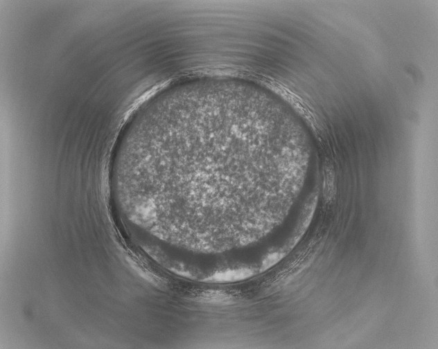 X0000115400390200912011209