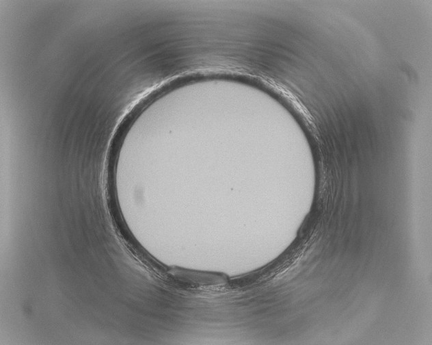 X0000115400391200912011209