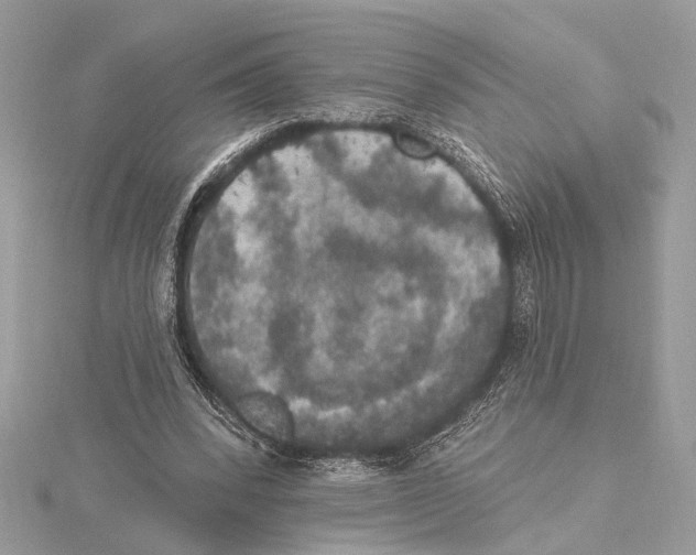 X0000115400392200912011209