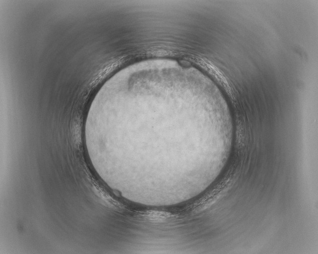 X0000115400393200912011209