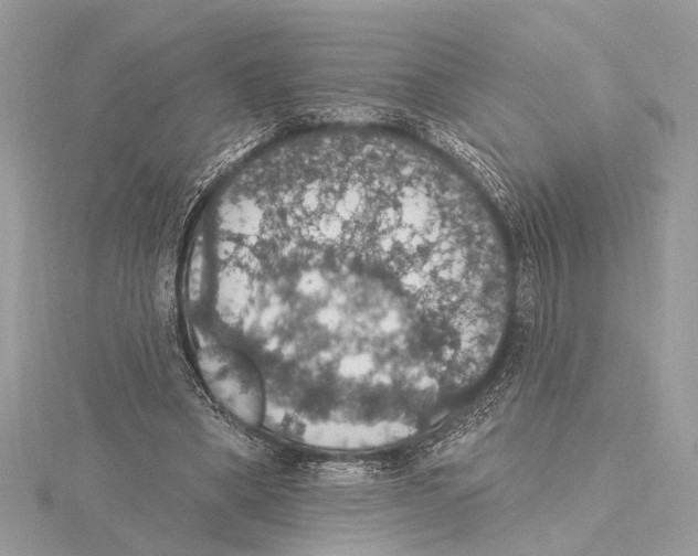 X0000115400394200912011209