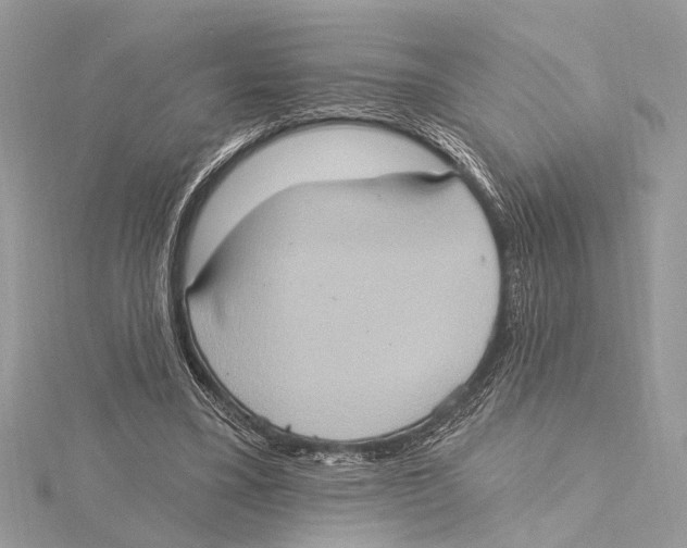 X0000115400395200912011209