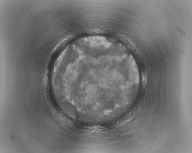 X0000115400396200912011209