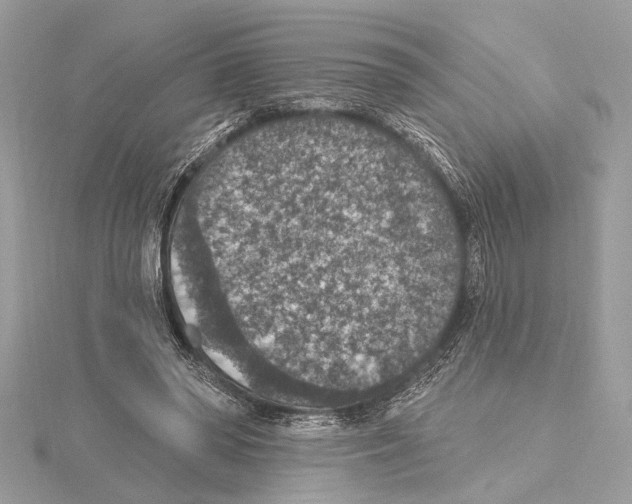 X0000115400398200912011209