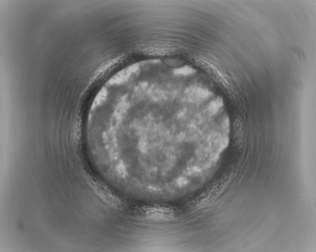 X0000115400400200912011209