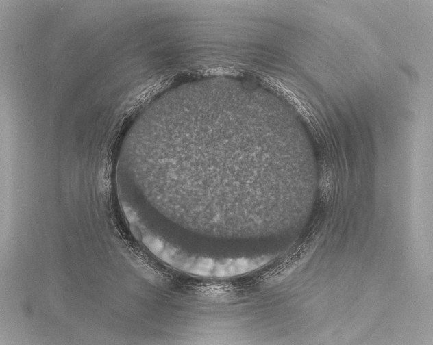 X0000115400402200912011209