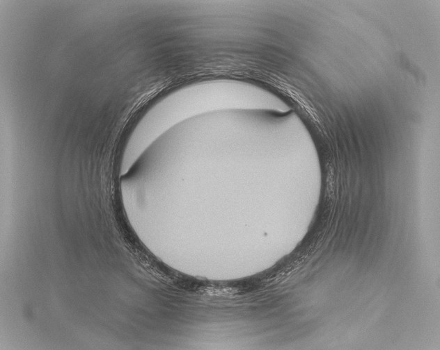 X0000115400403200912011209