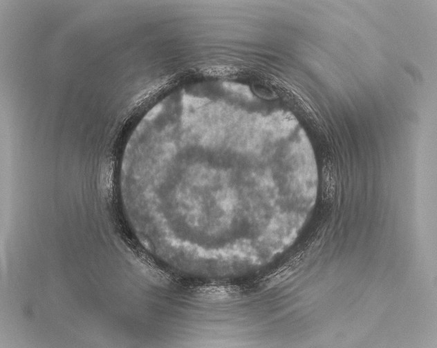 X0000115400404200912011209