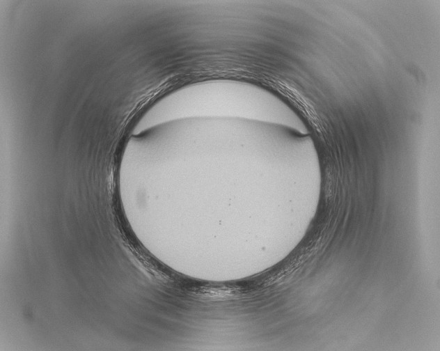 X0000115400405200912011209